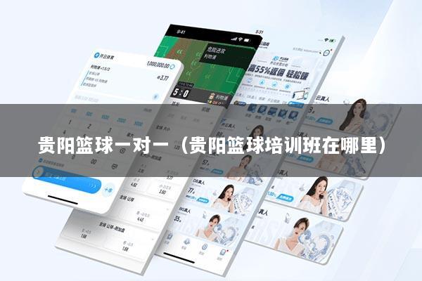 贵阳篮球一对一(贵阳篮球培训班在哪里)